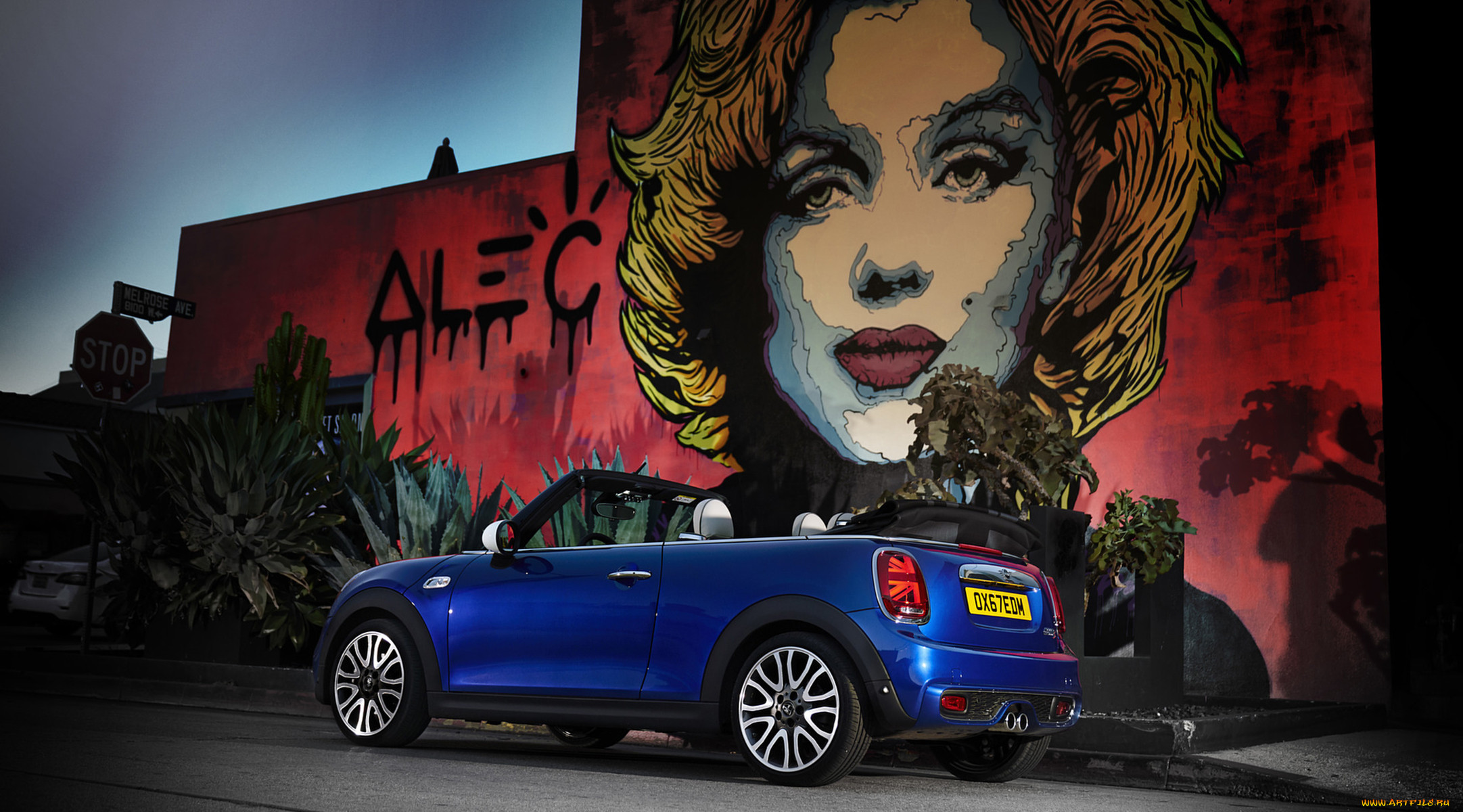 mini cabrio 2019, ,    , cabrio, blue, mini, 2019